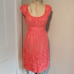 Adrianna Papell shimmer coral applique dress